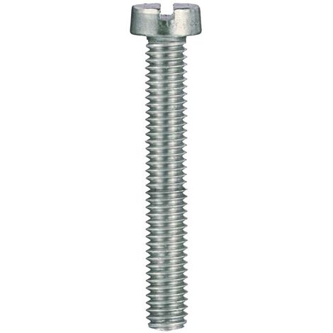 VITE METRICA TC. ZINC. M 4X20 PZ14