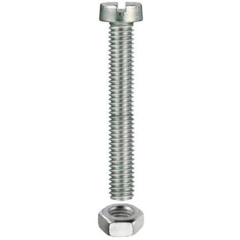 VITE METRICA TC. ZINC. M 5X40 PZ6