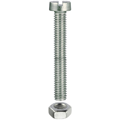 VITE METRICA TC. ZINC. M 6X100 pz6