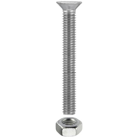 VITE MET.TPS PH ZN.B.M5X100 PZ8