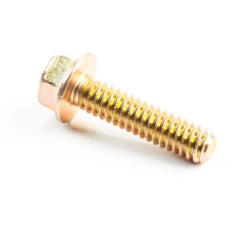 Vite motore BRIGGS ET STRATTON 691148