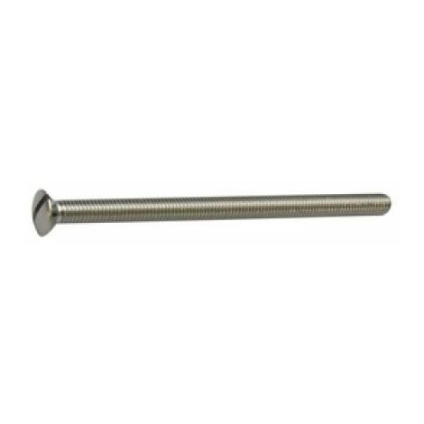 VITE OTTONE NICHELATO mm. 6 x 100