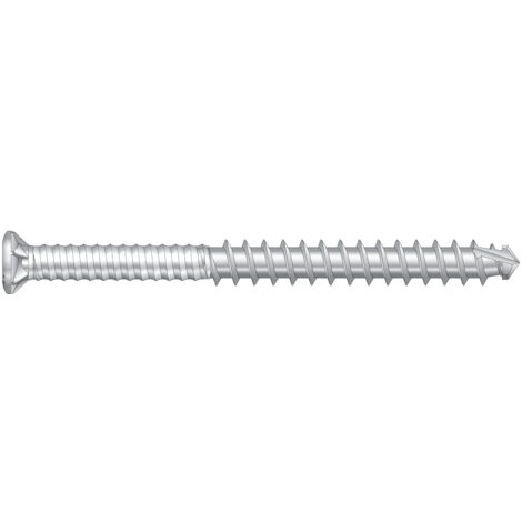 Vite per lame esotiche - Testa svasata scanalata - Acciaio inossidabile A2 5,3x50mm - Confezione da 1000