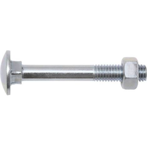 Vite swg flat round head din 603 6 mm x 80 mm 25 pezzi