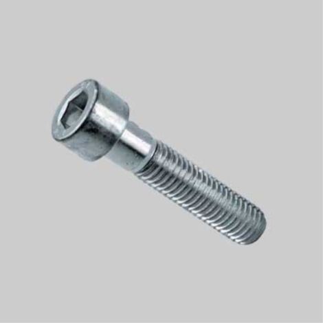Vite t.c. cava esagonale zincata m10x40 (100 pezzi)