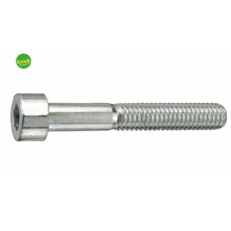 VITE T.CAVA ESAG.DIN912 M4X20 PZ20