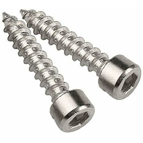 Vite Tcei Autofilettante 5,5x16 Inox 100 Pz Vt069