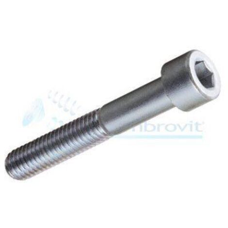 VITE TCEI mm.10x70 DIN912 UNI5931 8.8
