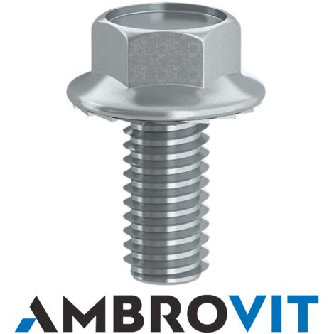 VITE T.E. mm. 6x10 C/FLANGIA DIN6921 8.8