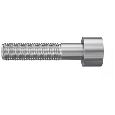 VITE TESTA CILINDRICA M8x30