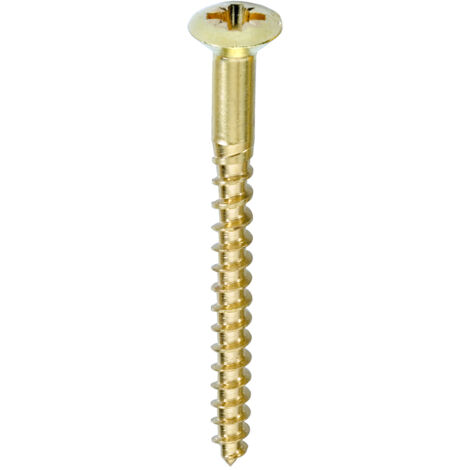 VITE TGS OTTONE PZ 2,5X16 pz30