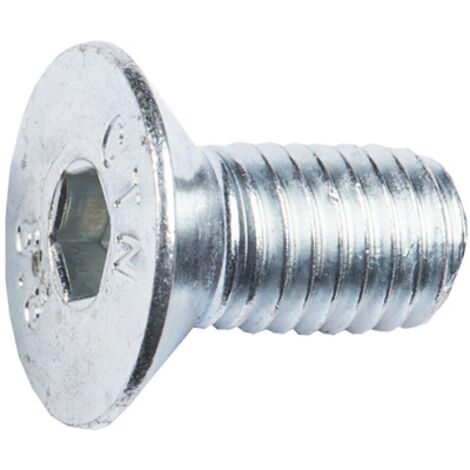 VITE TPS ESAG. INC. M6X20 PZ.8
