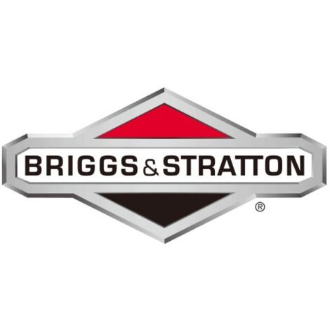 Vite trattorino tagliaerba rasaerba ORIGINALE BRIGGS & STRATTON 1960282SM