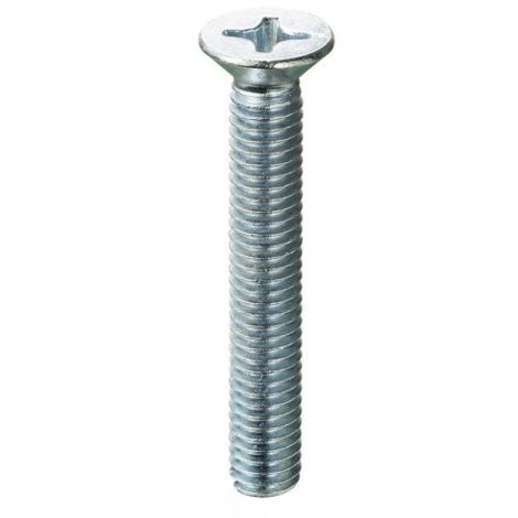 VITI A METALLO TESTA PIANA 4X 25 ZINC.** AMBROVIT PZ 500,0