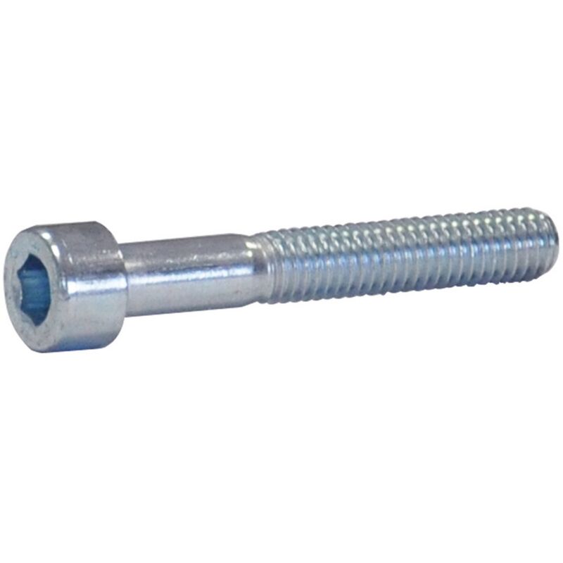 200PZ BULLONE TESTA CILINDRICA T.C.E.I. 6 x 50 mezzo filettato