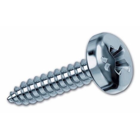 Viti Lamiera Acciaio Inox 316 &ndash; Testa Ovale Phillips, #3, 25 Pezzi