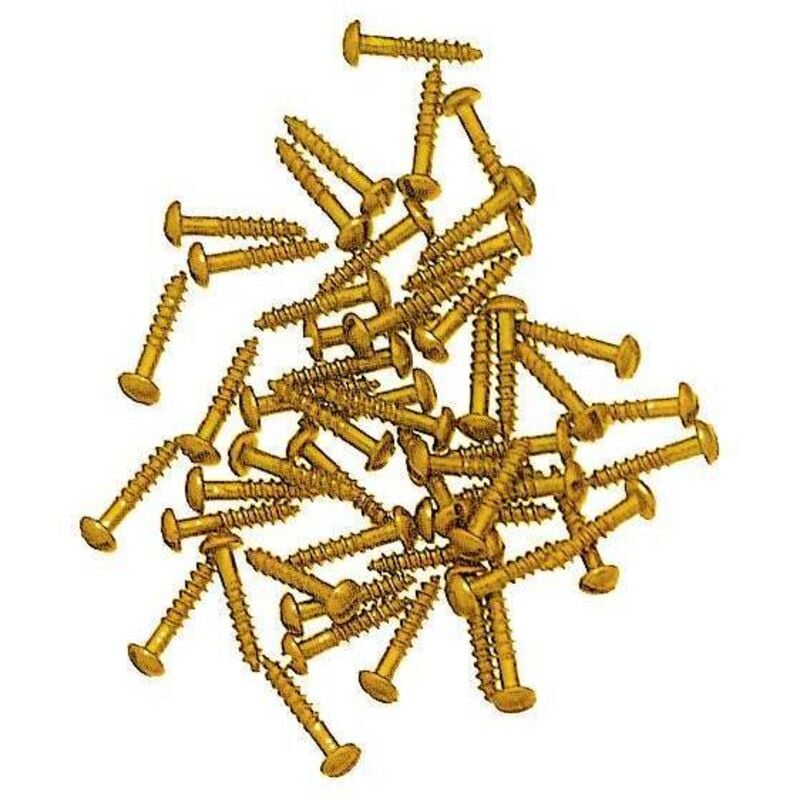 Vis à bois en laiton fer t.dôme 2x10