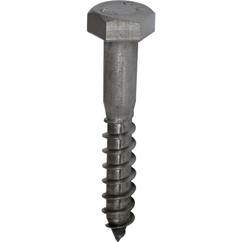 Viti in acciaio inox M6X90MM Forgefast 10CS690SS