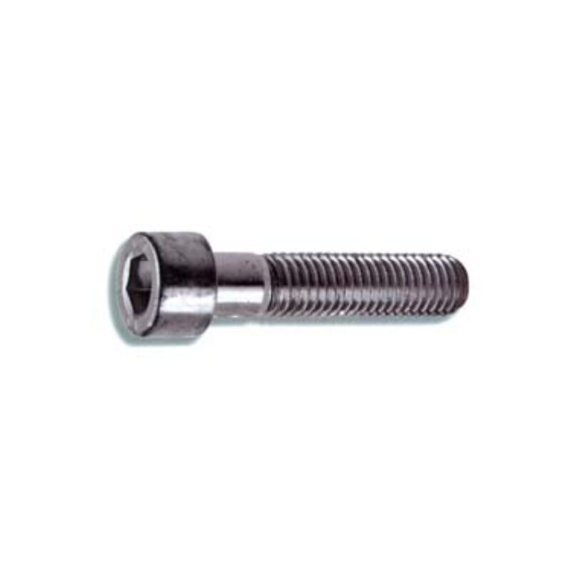 Idroweb - Viti metallo 8.8 testa cilindrica cava
