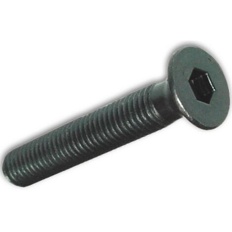 VITI METALLO TP ESAGONO INCASS. 6X20MM BRUNITE