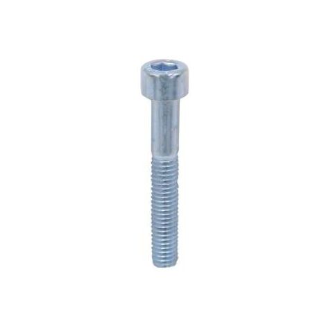 Viti Metriche Brugola Zincate Testa Cilindrica. Mm.6X30