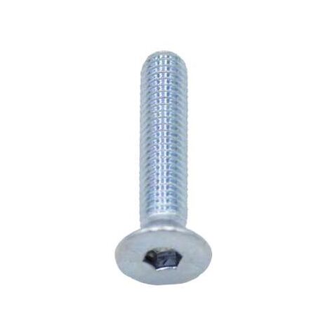 Viti Metriche Brugola Zincate Testa Svasata Piana Mm.6X20