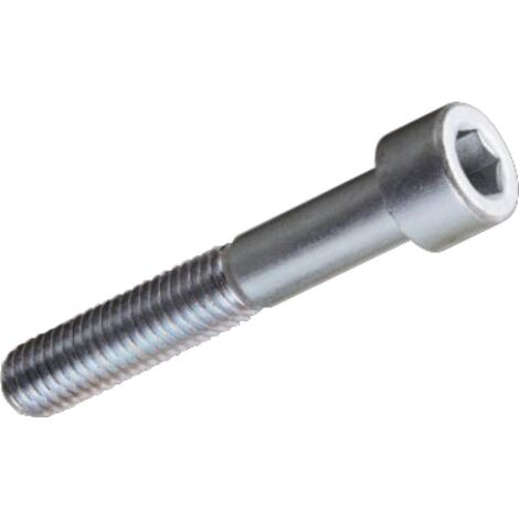 Viti per Metallo TC Testa Cilindrica Esagono Incassato10x40 mm Zincate 100 pz