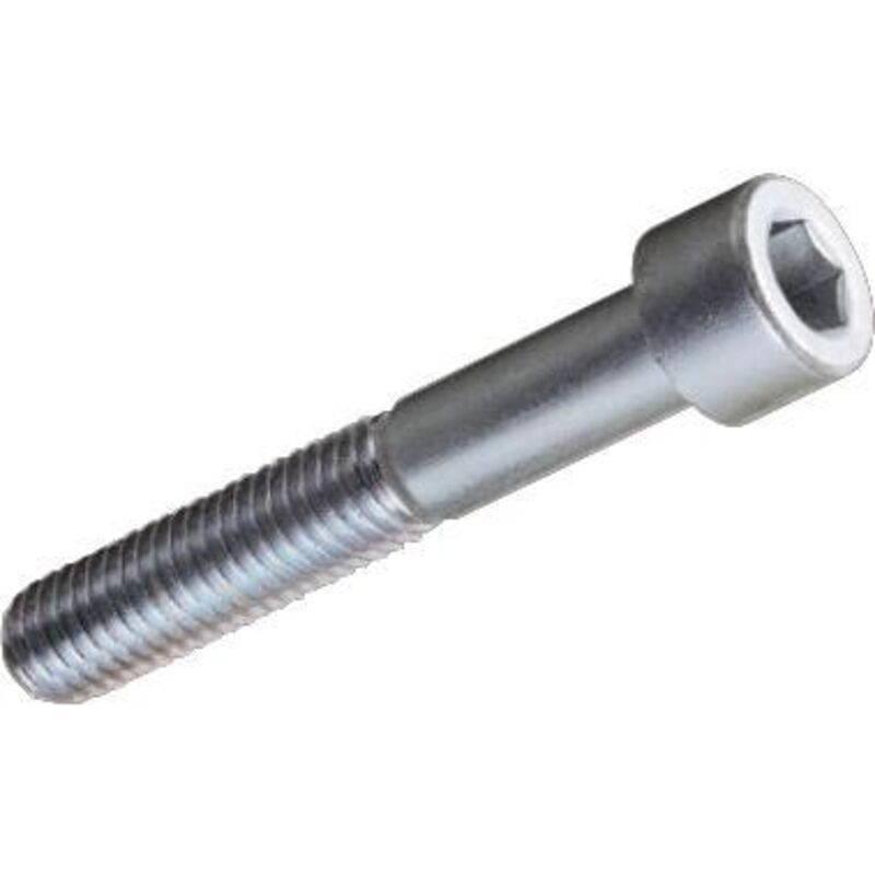 Viti metallo tc esagono INCASS.10X50MM zincate
