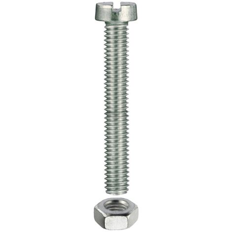 VITI PER METALLO TESTA CILINDRICA M3 X 10 - 30 PZ.
