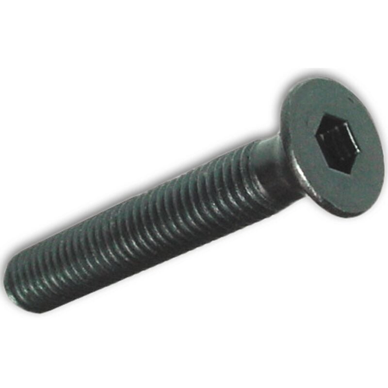 Viti Metallo Tp Esagono Incass. 6x40mm Brunite