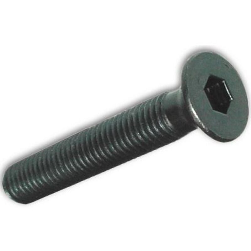 Viti metallo tp esagono incass. 6X50MM brunite