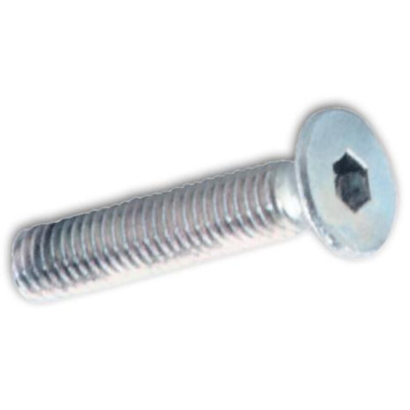 Viti metallo tp esagono incass. 6X25MM zincate