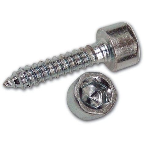 Viti per Metallo Zincate Autofilettanti TC Esagono Incassato 4,8x22 mm 500 pz