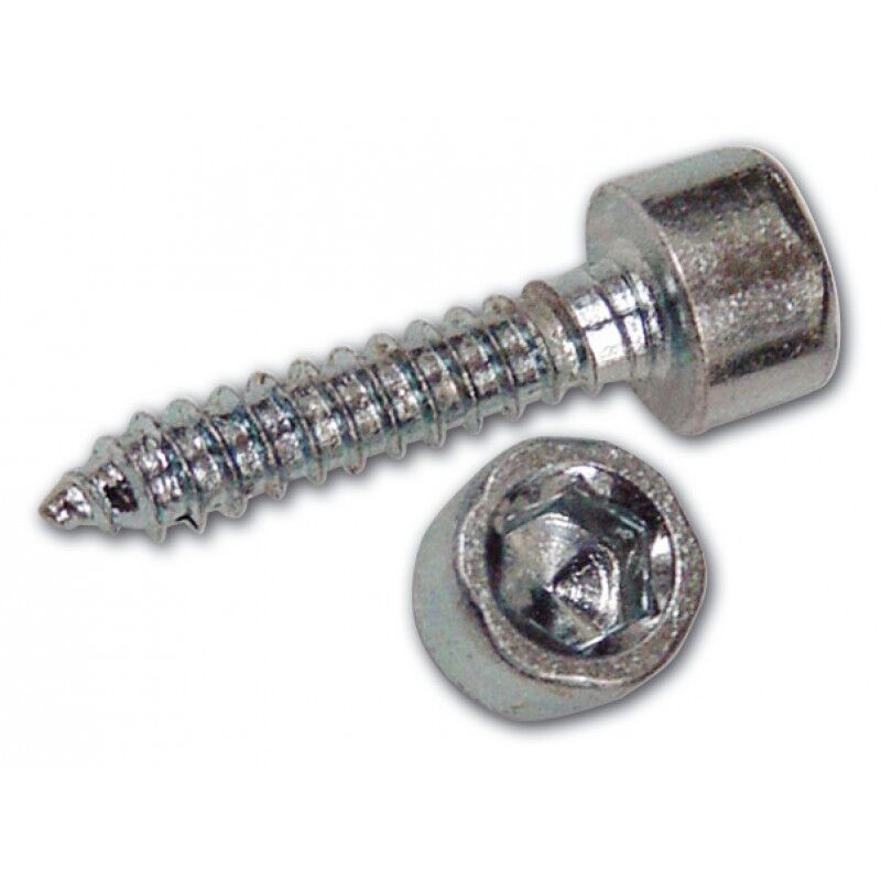 Viti autofilettanti tc esagono incas. 4,8X38