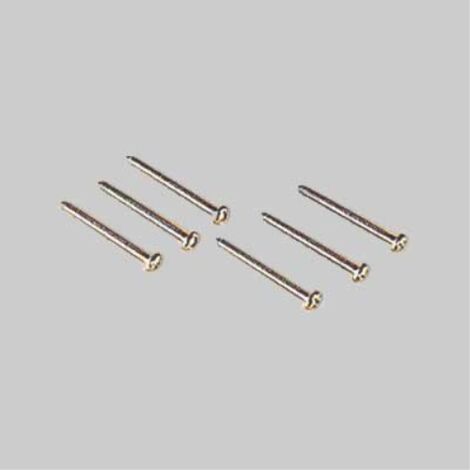 Viti per supporti 50 mm (100 pezzi) EC ELETTROCANALI