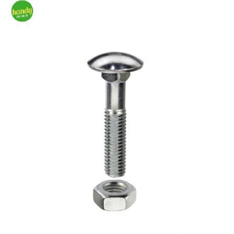 Viti testa cieca con quadro sottotesta M8 x 70 - 1 Kg.