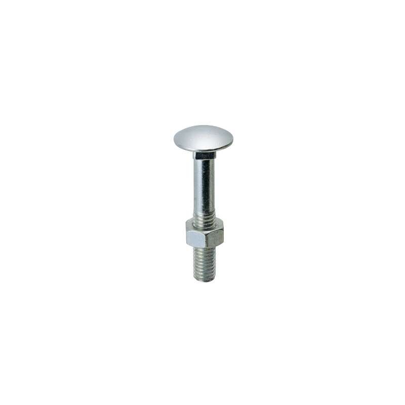 Viti Testa Tonda Con Quadro Sottotesta ttq Zincate Mm.6x50