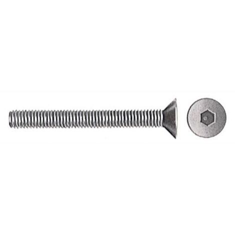 Viti T.S.P. Brunite Esag. Inc. 6X30 200 Pz