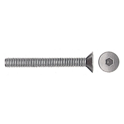 Viti t.s.p. brunite esag. inc. 6x30
