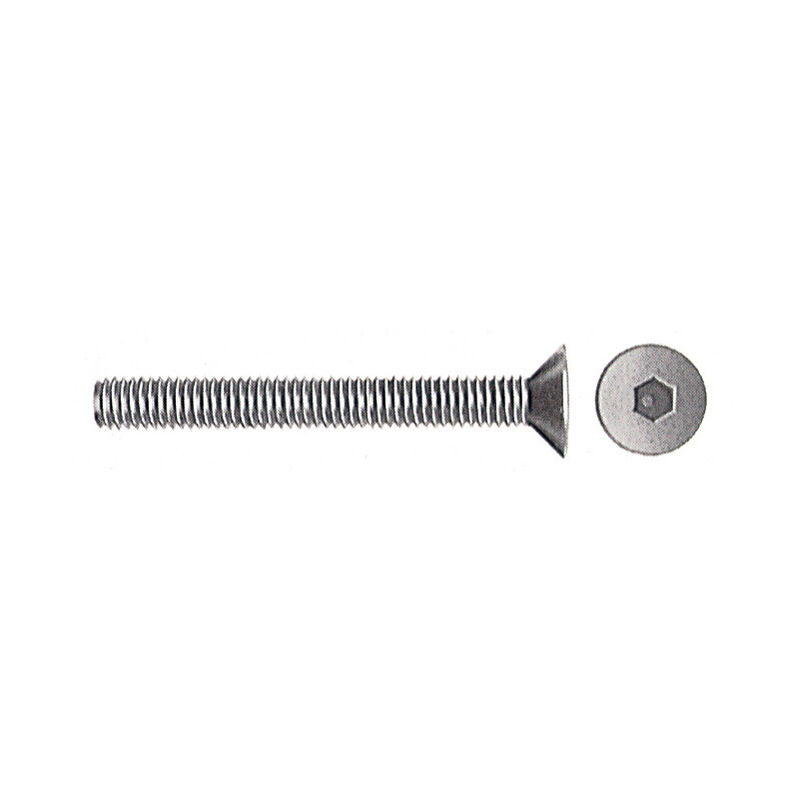 200 x viti t.s.p. brunite esag. inc. 8x30