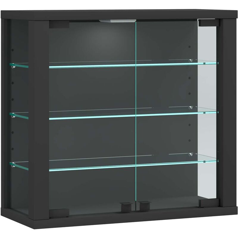 Ebuy24 - VitrosaS vitrine accroché au mur 2 portes en verre anthracite.