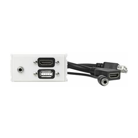 Vivolink Outlet Panneau HDMI. USB. AUD