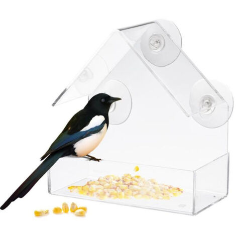 Vogelfutterhaus mit Sichtfenster aus Klarglas – Saugnapfbefestigung zur Vogelfütterung