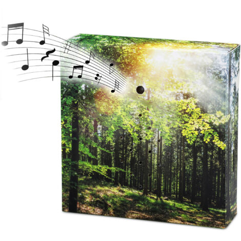 Vogelgezwitscher Soundbox mit Waldgeräuschen - 12 cm - Lautsprecher mit Vogelgesang und Waldkulisse