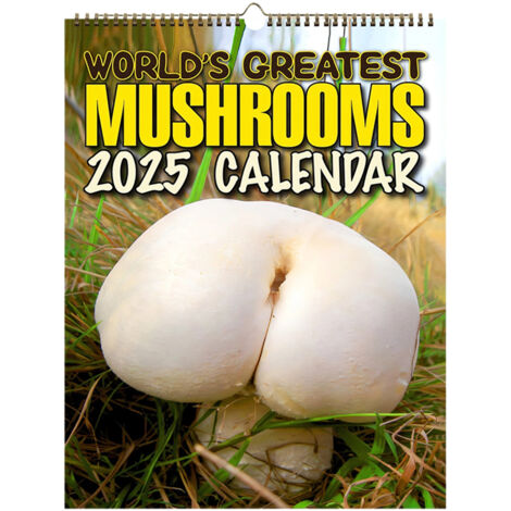Vogelkalender 2025, im Stil chinesischer Tuschemalerei, Wandkalender, exquisites Design. Möge jeder Tag voller Hoffnung sein. Kalender 2025