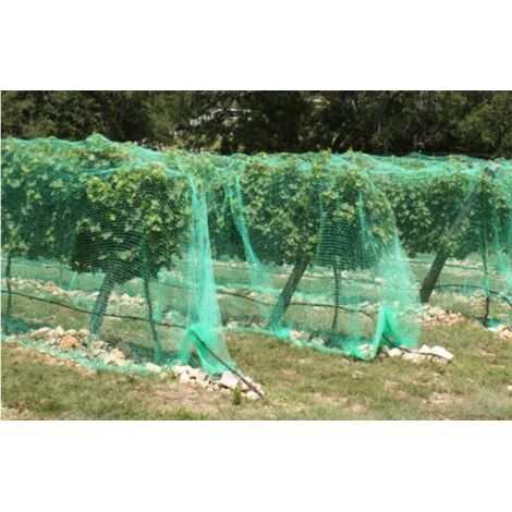 Vogelschutznetz für Obstbäume 4x5m