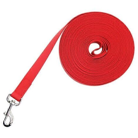 Voici une proposition de titre produit en français (190 caractères max) :
Laisse pour chien solide 10-50 FT, 10 mètres, modèle rouge cousu, sans nœuds, confortable et robuste pour promenade de chien.