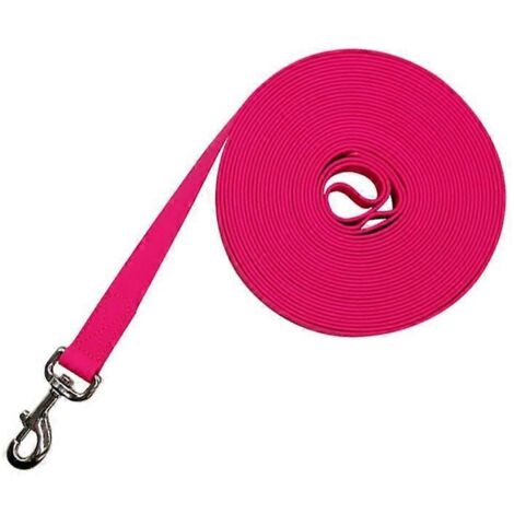 Voici une proposition de titre produit en français (caractères : 190) :
Laisse pour chien solide 10-50 FT, sans nœuds, confortable, modèle couture rose, 10 mètres, pour promenade sécurisée et agréabl