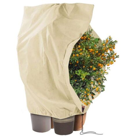 Voile d'hivernage pour plantes extérieures 240 x 200 cm, 80 g/m² en tissu non tissé, avec fermeture éclair et cordon de serrage pour
