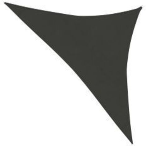 Voile d'ombrage 160 g-m² Anthracite 4x4x5,8 m PEHD
